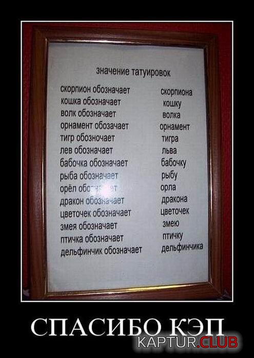 1696237526_1694670359_demotivatory-5.jpg | Рено Каптур Клуб Россия | Форум KAPTUR.SU