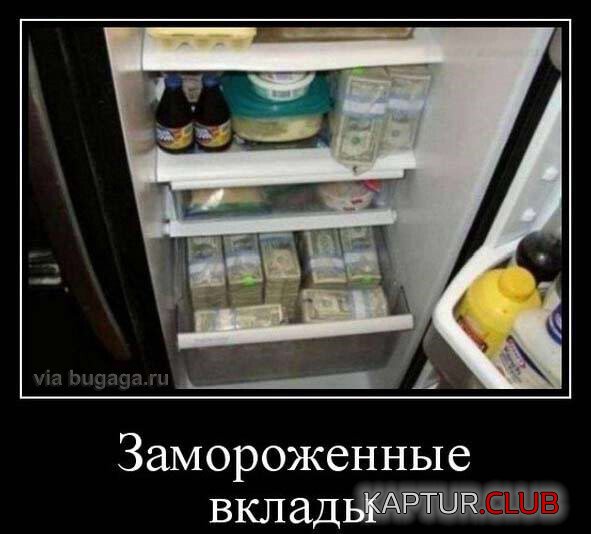 1696497945_demy-15.jpg | Рено Каптур Клуб Россия | Форум KAPTUR.SU