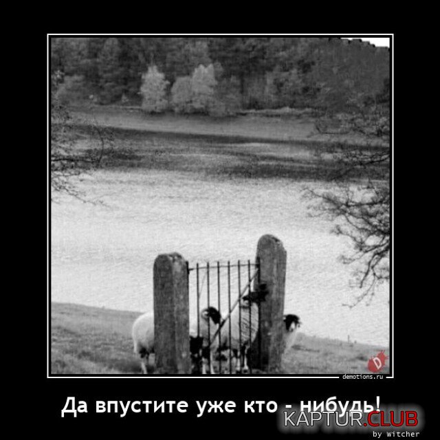 1696497974_1695106484_demotivatory-1.jpg | Рено Каптур Клуб Россия | Форум KAPTUR.SU