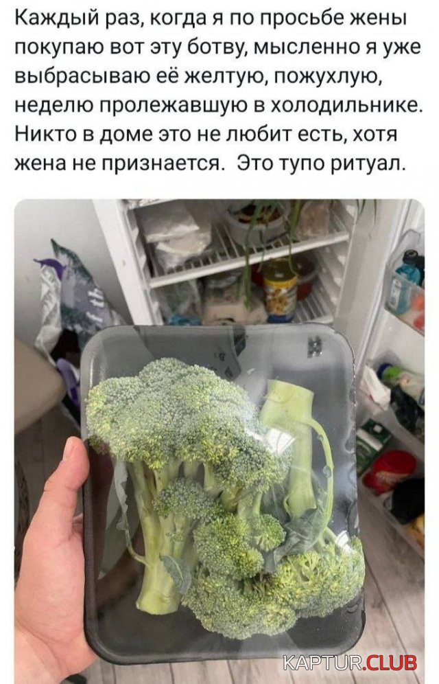 1697106998_242584_7_trinixy_ru.jpg | Рено Каптур Клуб Россия | Форум KAPTUR.SU