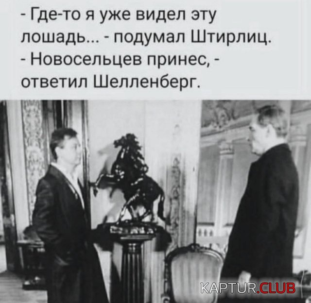 1697118906_242660_1_trinixy_ru.jpg | Рено Каптур Клуб Россия | Форум KAPTUR.SU