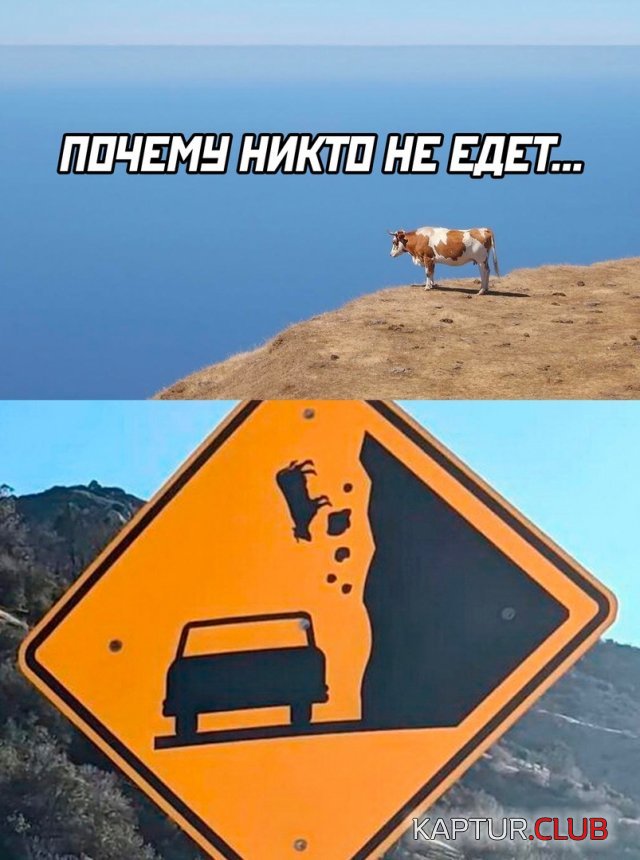 1697119141_242653_1_trinixy_ru.jpg | Рено Каптур Клуб Россия | Форум KAPTUR.SU