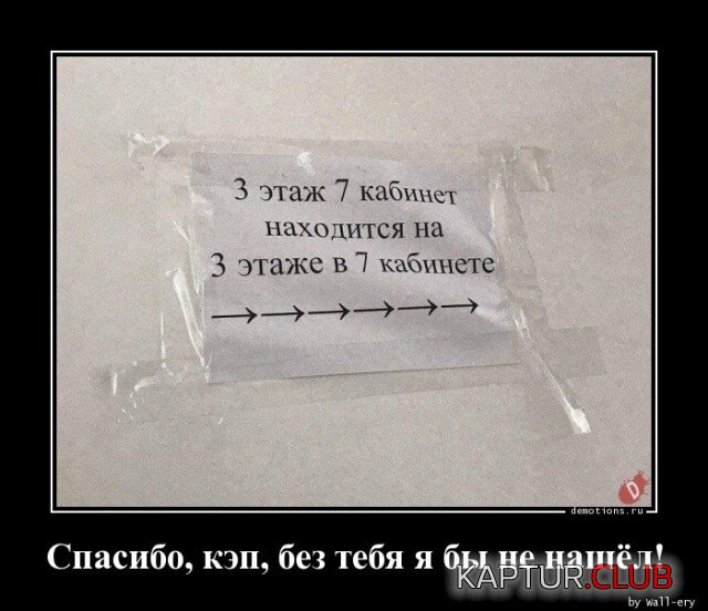 1697455650_1696489608_demki-5.jpg | Рено Каптур Клуб Россия | Форум KAPTUR.SU