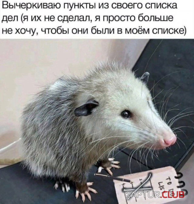1698497820_243075_13_trinixy_ru.jpg | Рено Каптур Клуб Россия | Форум KAPTUR.SU