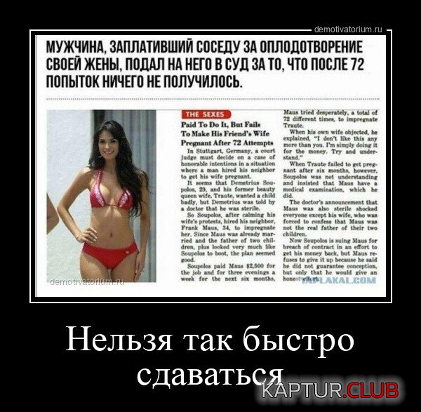 1698498055_1697615229_demki-8.jpg | Рено Каптур Клуб Россия | Форум KAPTUR.SU