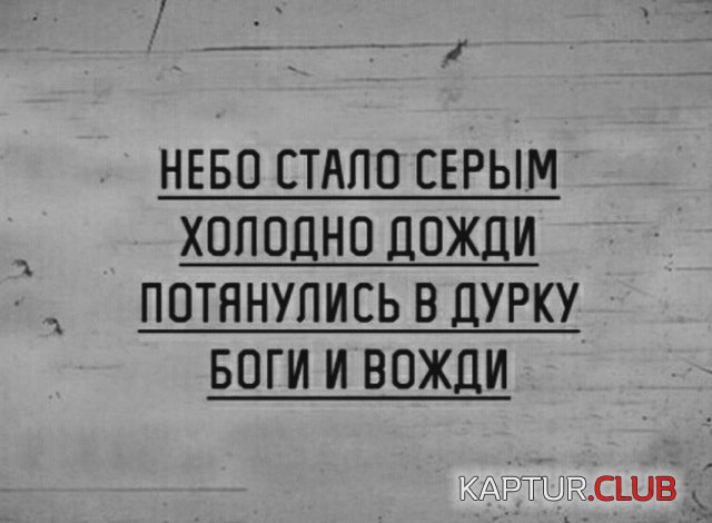 1699772472_243411_1_trinixy_ru.jpg | Рено Каптур Клуб Россия | Форум KAPTUR.SU