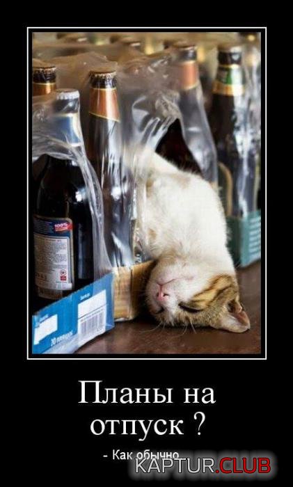 16b9e2e1ca442cf0e874160018c_prev.jpg | Рено Каптур Клуб Россия | Форум KAPTUR.SU
