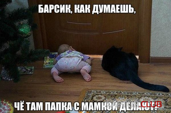 16bb3a161fa517eab550166a5d8.jpg | Рено Каптур Клуб Россия | Форум KAPTUR.SU