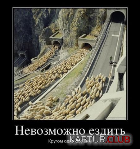 16ff0724802f5f69881ba912791.jpg | Рено Каптур Клуб Россия | Форум KAPTUR.SU
