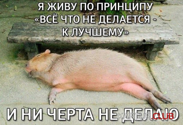 1700381072_243771_12_trinixy_ru.jpg | Рено Каптур Клуб Россия | Форум KAPTUR.SU