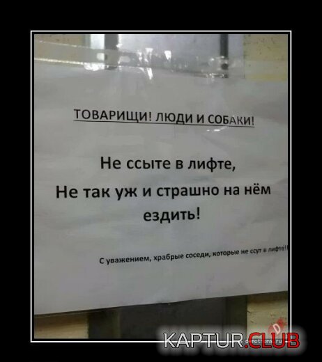 1700727008_22121-17.jpg | Рено Каптур Клуб Россия | Форум KAPTUR.SU