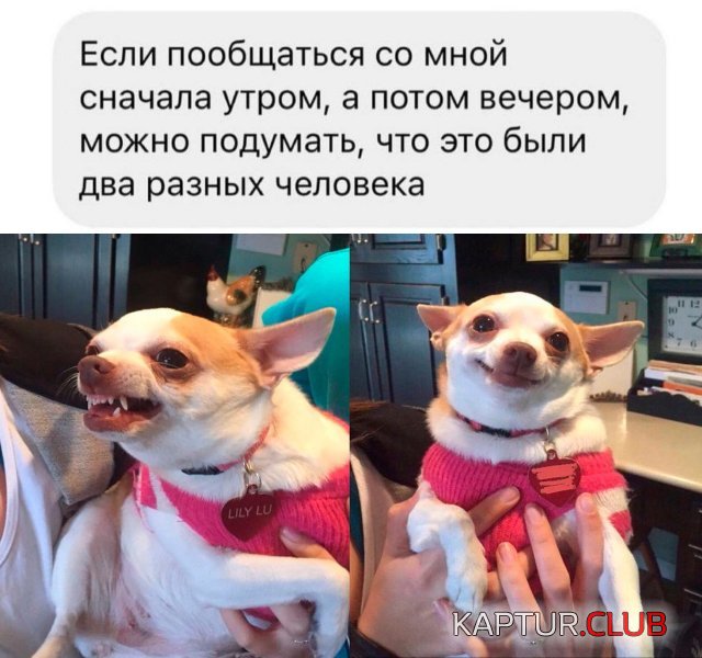 1700727459_243673_29_trinixy_ru.jpg | Рено Каптур Клуб Россия | Форум KAPTUR.SU