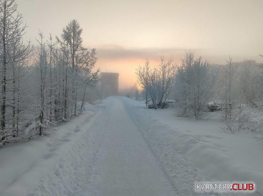 1701759533228.jpg | Рено Каптур Клуб Россия | Форум KAPTUR.SU