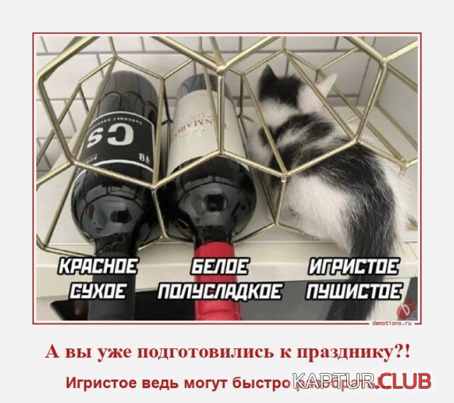 1702891598_1702180561_demki-9.jpg | Рено Каптур Клуб Россия | Форум KAPTUR.SU