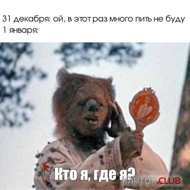 1704448181_245120_1_trinixy_ru.jpg | Рено Каптур Клуб Россия | Форум KAPTUR.SU