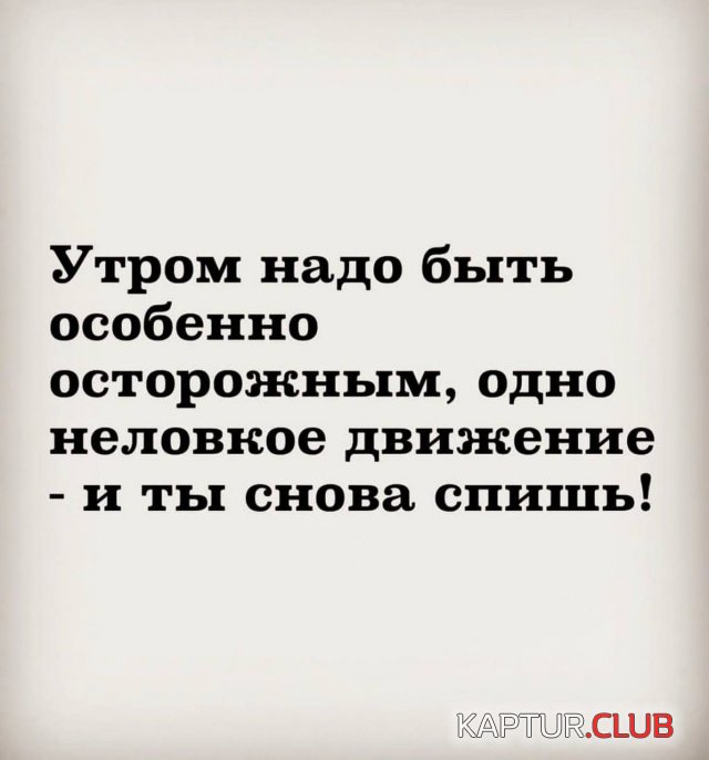 1704806554_245158_9_trinixy_ru.jpg | Рено Каптур Клуб Россия | Форум KAPTUR.SU