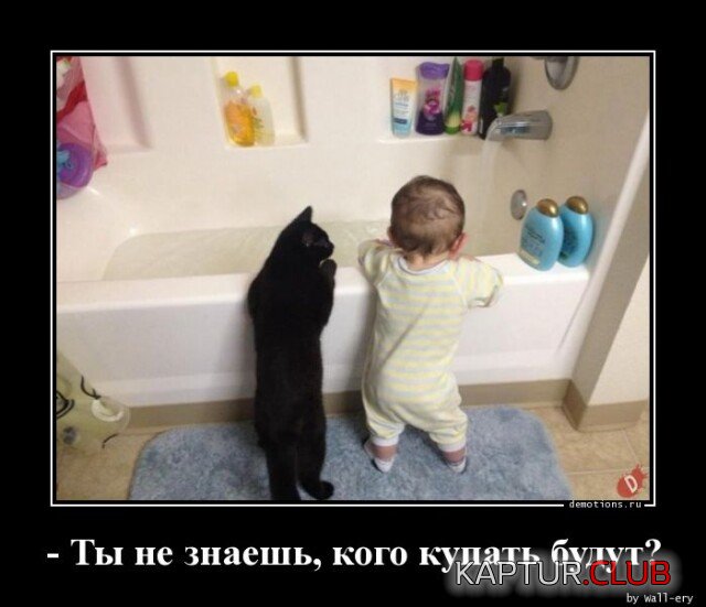 1704807074_1704375987_demotivatory-6.jpg | Рено Каптур Клуб Россия | Форум KAPTUR.SU