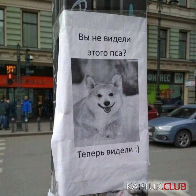 1705652157_245360_4_trinixy_ru.jpg | Рено Каптур Клуб Россия | Форум KAPTUR.SU