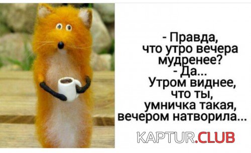 170699555.p.500.500.0.jpg | Рено Каптур Клуб Россия | Форум KAPTUR.SU