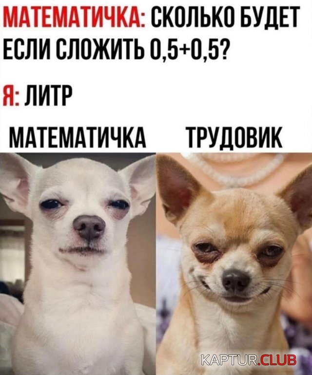 1707561901_245912_12_trinixy_ru.jpg | Рено Каптур Клуб Россия | Форум KAPTUR.SU