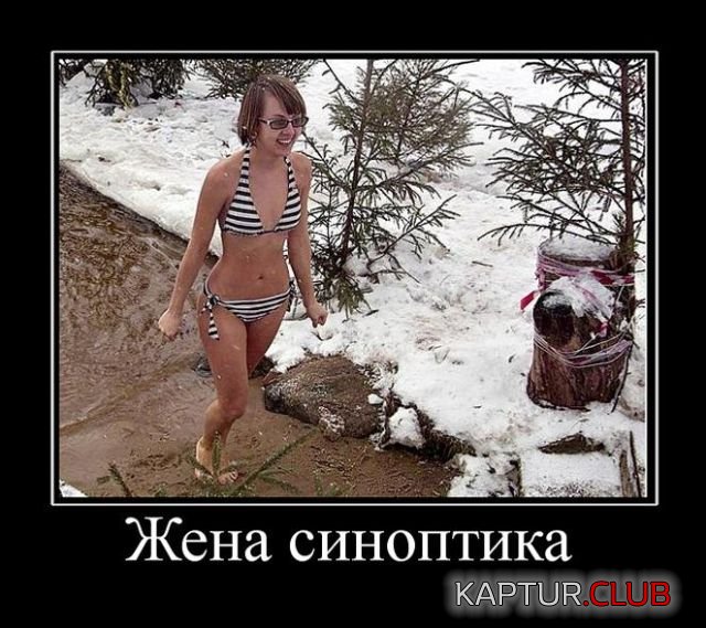 1708507764_246131_12_trinixy_ru.jpg | Рено Каптур Клуб Россия | Форум KAPTUR.SU