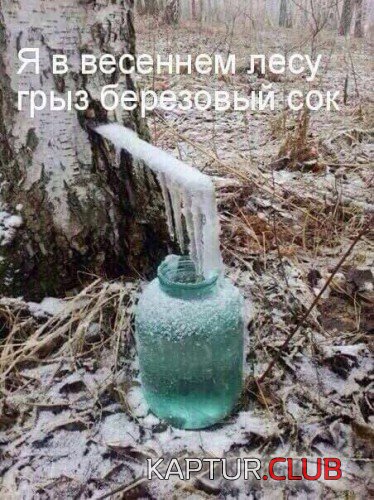 170852524.p.500.500.0.jpg | Рено Каптур Клуб Россия | Форум KAPTUR.SU