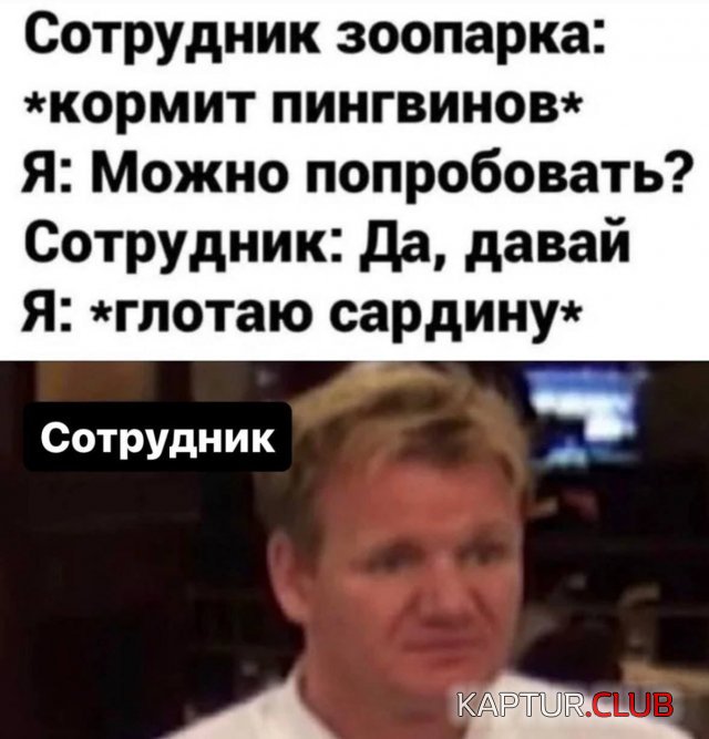 1710234426_246791_6_trinixy_ru.jpg | Рено Каптур Клуб Россия | Форум KAPTUR.SU
