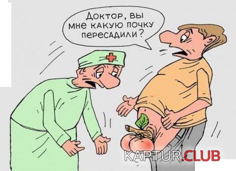 171063960.p.500.500.0.jpg | Рено Каптур Клуб Россия | Форум KAPTUR.SU