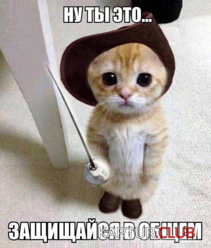 171101045.p.500.500.0.jpg | Рено Каптур Клуб Россия | Форум KAPTUR.SU