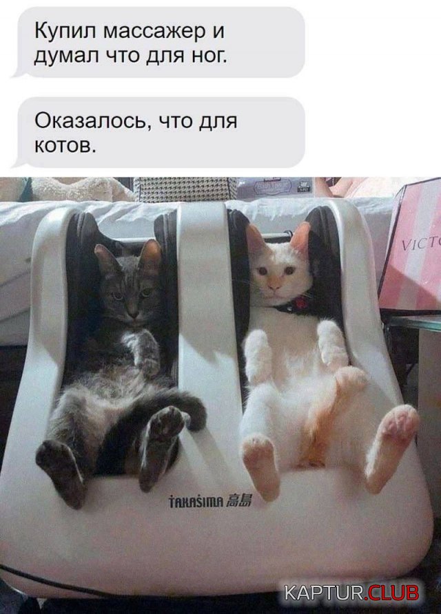 1711101591_247073_14_trinixy_ru.jpg | Рено Каптур Клуб Россия | Форум KAPTUR.SU
