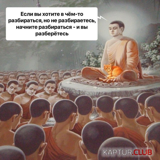 1712059469_247413_13_trinixy_ru.jpg | Рено Каптур Клуб Россия | Форум KAPTUR.SU
