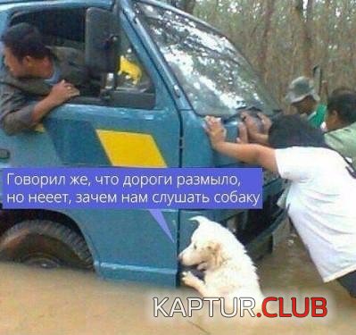 171240602.p.500.500.0.jpg | Рено Каптур Клуб Россия | Форум KAPTUR.SU