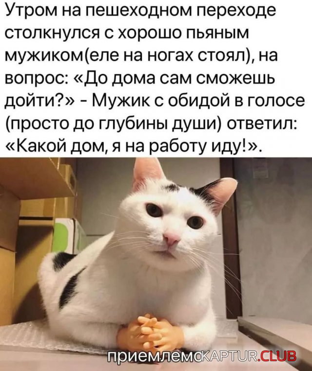 1715692482_248769_13_trinixy_ru.jpg | Рено Каптур Клуб Россия | Форум KAPTUR.SU