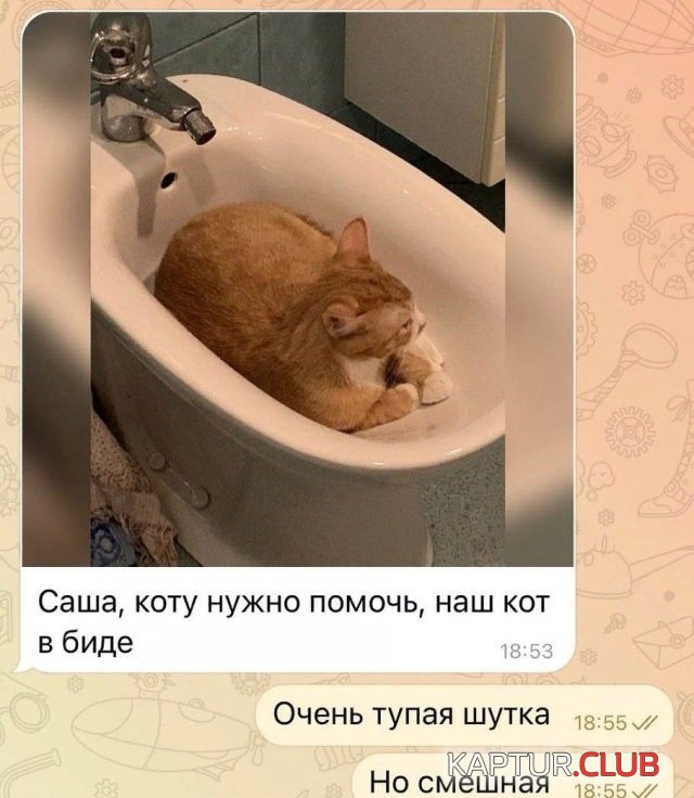 1716201804_248855_12_trinixy_ru.jpg | Рено Каптур Клуб Россия | Форум KAPTUR.SU