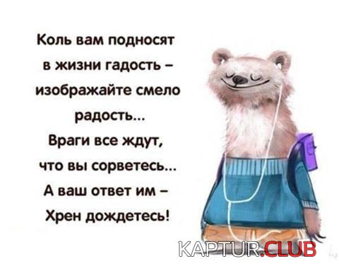 171799365.p.500.500.0.jpg | Рено Каптур Клуб Россия | Форум KAPTUR.SU