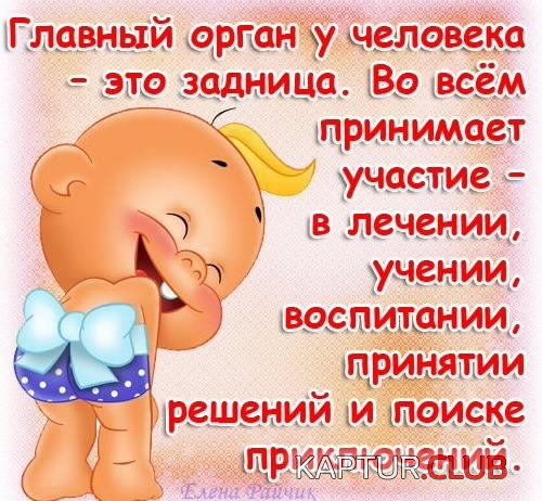 171800504.p.500.500.0.jpg | Рено Каптур Клуб Россия | Форум KAPTUR.SU