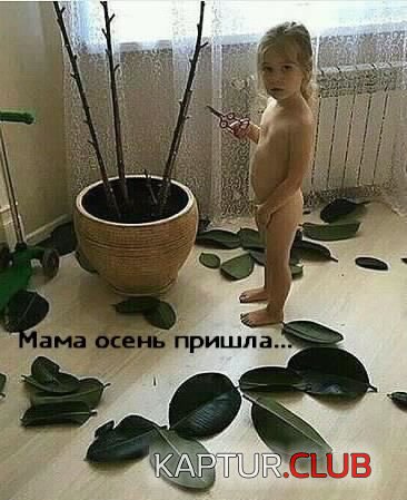 171801972.p.500.500.0.jpg | Рено Каптур Клуб Россия | Форум KAPTUR.SU