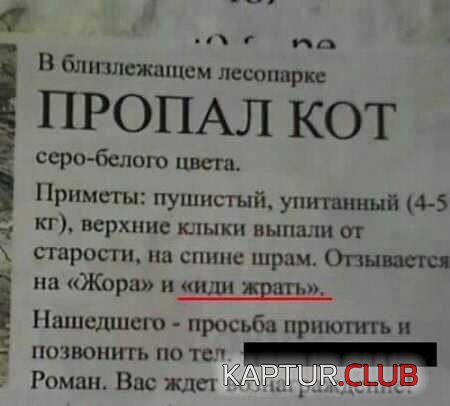 171dd434cf2345f5fd76a1e942a.jpg | Рено Каптур Клуб Россия | Форум KAPTUR.SU