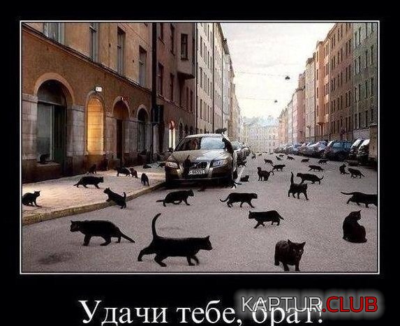 1720520447_250357_2_trinixy_ru.jpg | Рено Каптур Клуб Россия | Форум KAPTUR.SU