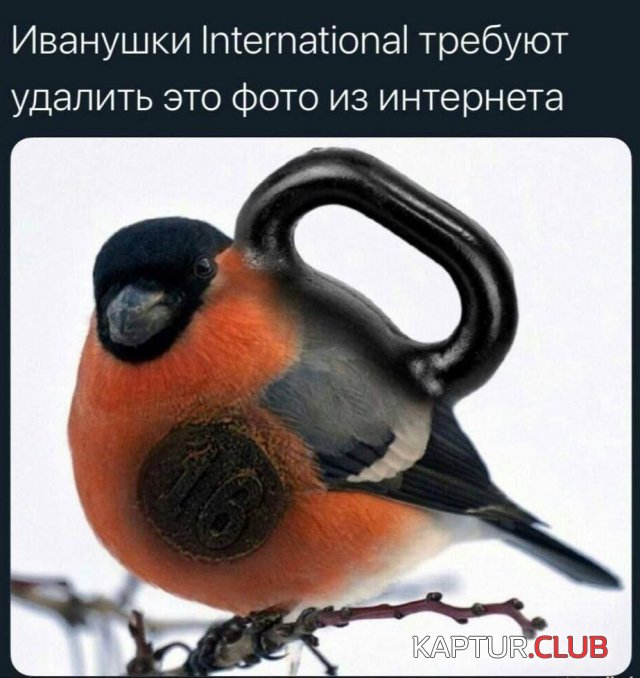 1720693870_250466_1_trinixy_ru.jpg | Рено Каптур Клуб Россия | Форум KAPTUR.SU