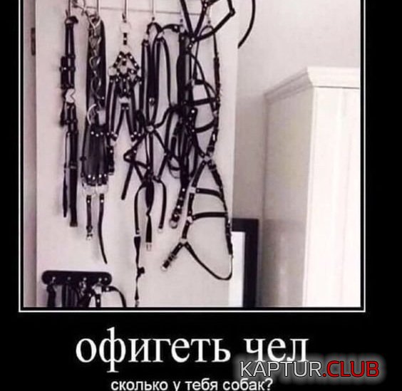 1721118655_250673_14_trinixy_ru.jpg | Рено Каптур Клуб Россия | Форум KAPTUR.SU