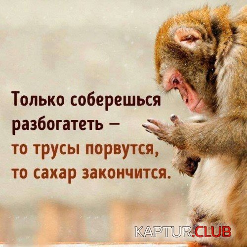 172209608.p.500.500.0.jpg | Рено Каптур Клуб Россия | Форум KAPTUR.SU