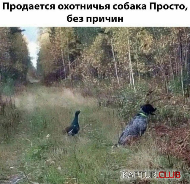 1722243224_250894_13_trinixy_ru.jpg | Рено Каптур Клуб Россия | Форум KAPTUR.SU