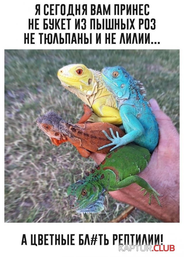 1722507302_251094_14_trinixy_ru.jpg | Рено Каптур Клуб Россия | Форум KAPTUR.SU