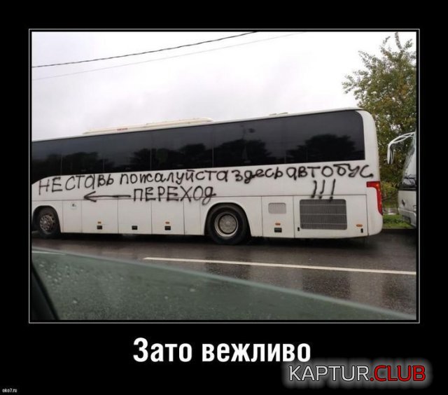 1723535942_251633_5_trinixy_ru.jpg | Рено Каптур Клуб Россия | Форум KAPTUR.SU