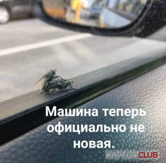 1723539948_251683_14_trinixy_ru.jpg | Рено Каптур Клуб Россия | Форум KAPTUR.SU