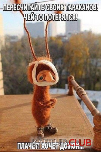 172703085.p.500.500.0.jpg | Рено Каптур Клуб Россия | Форум KAPTUR.SU