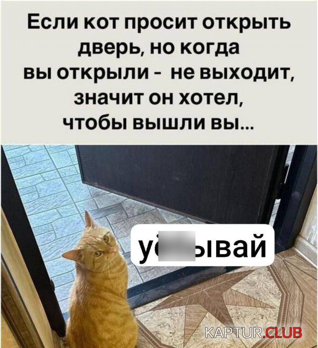 1728209734_252673_6_trinixy_ru.jpg | Рено Каптур Клуб Россия | Форум KAPTUR.SU