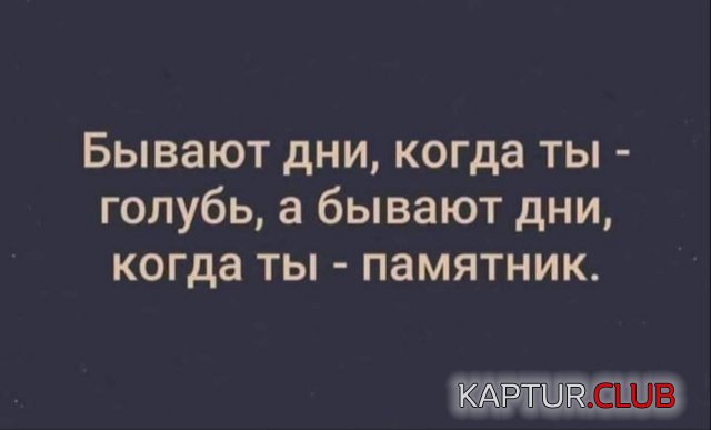 1732627231_254383_5_trinixy_ru.jpg | Рено Каптур Клуб Россия | Форум KAPTUR.SU
