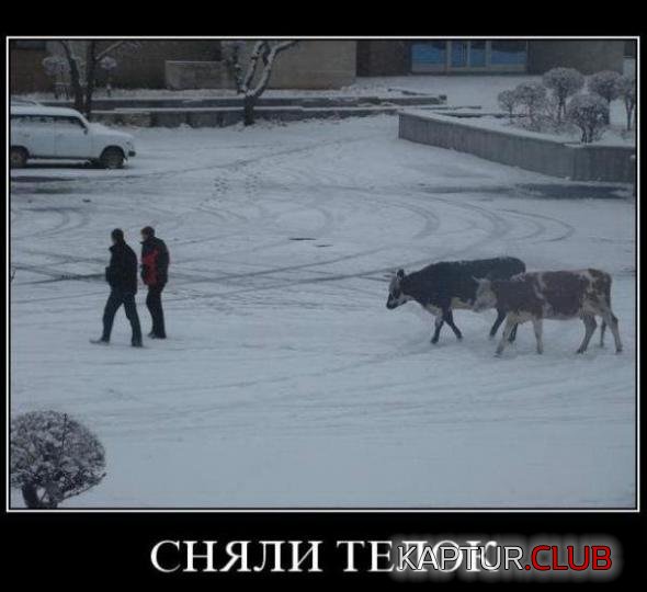 1732bbc8391e6bfd8fc845cba07_prev.jpg | Рено Каптур Клуб Россия | Форум KAPTUR.SU